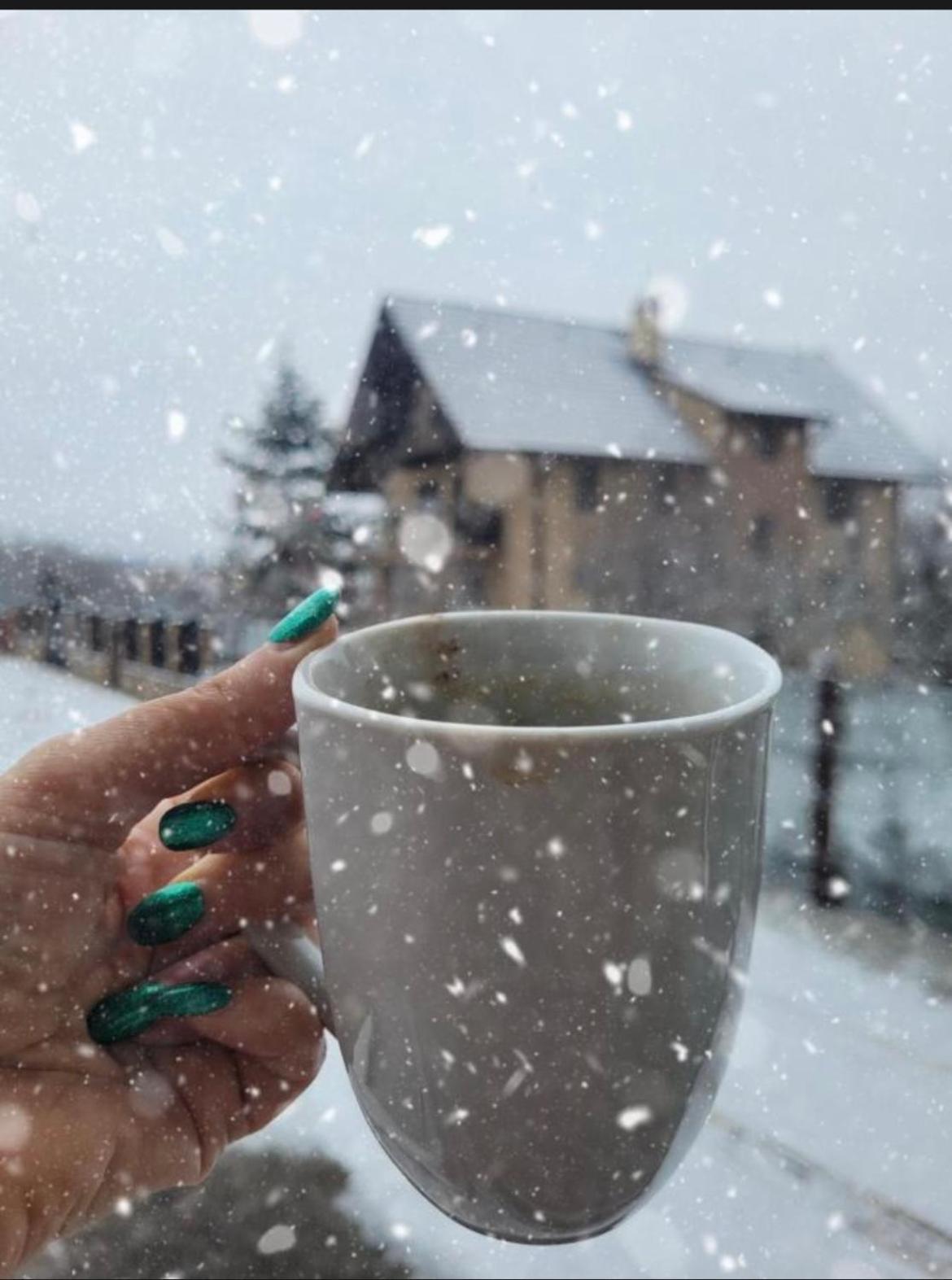 Green Apartaments Zărneşti Bagian luar foto